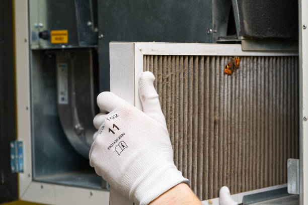 Best Air Duct Sanitizing Services  in Horseheads North, NY