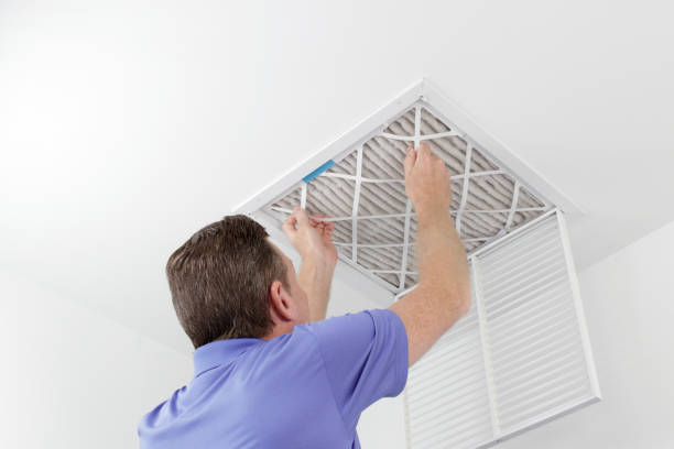 Best Air Duct Mold Removal  in Horseheads North, NY